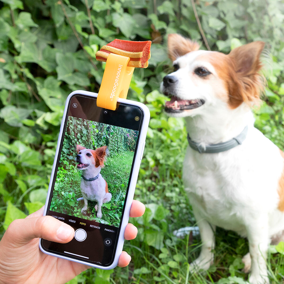 Phone Holders